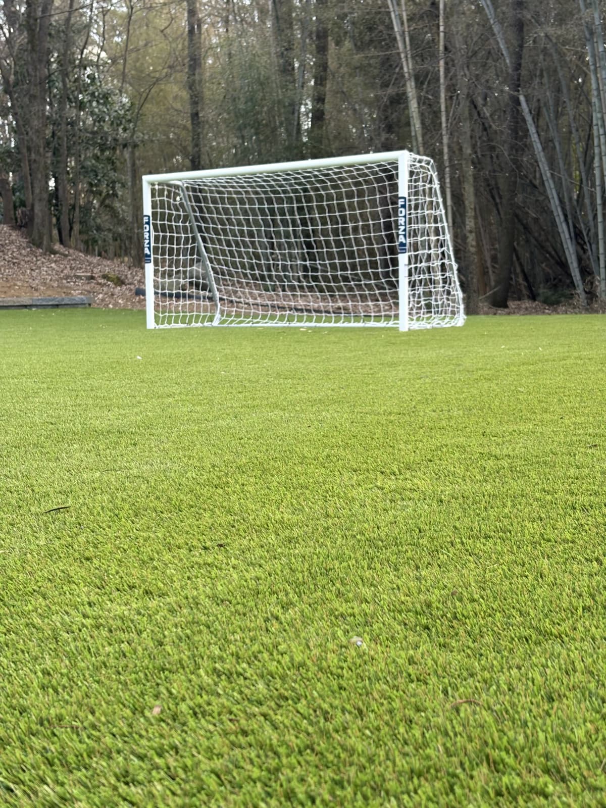 Backyard Sports Field — Soccer Goal