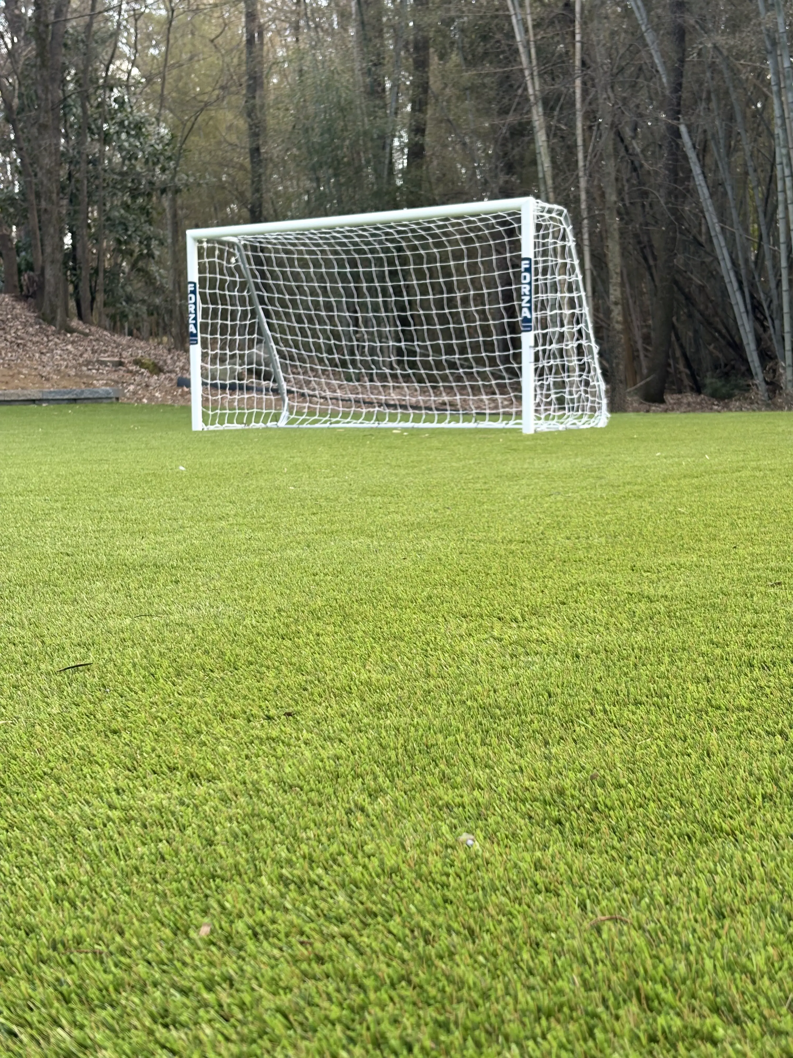 Backyard sports field artificial turf — Charlotte NC