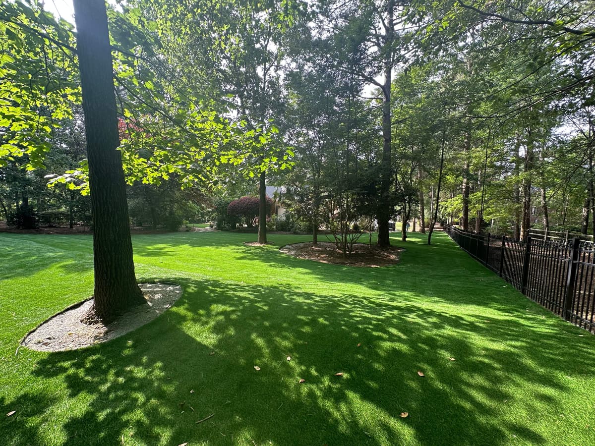 Wooded Expanse Lawn